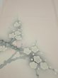 Photo1: 4D05z70  Japanese Kimono Silk  FABRIC Plum tree [object Object] 58.3x14.2 (1)