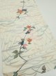 Photo2: 4D02z60  Japanese Kimono Silk  FABRIC Sakura Off-white 41.3x14.4 (2)
