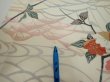 Photo6: 4D06z90  Japanese Kimono Silk  FABRIC Sakura Off-white 64.6x14.4 (6)