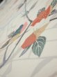 Photo4: 4D08z50  Japanese Kimono Silk  FABRIC Sakura Off-white 57.5x7.7 (4)