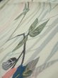 Photo4: 4D09z50  Japanese Kimono Silk  FABRIC Sakura Off-white 81.1x6.5 (4)