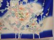 Photo7: 6928T11z1030  Japanese Kimono Silk FURISODE Plum blossom Oriental blue (7)